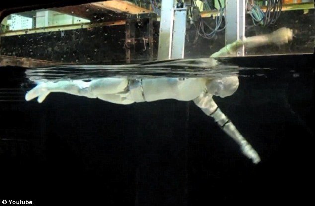 Is that a robot in your swimming pool?